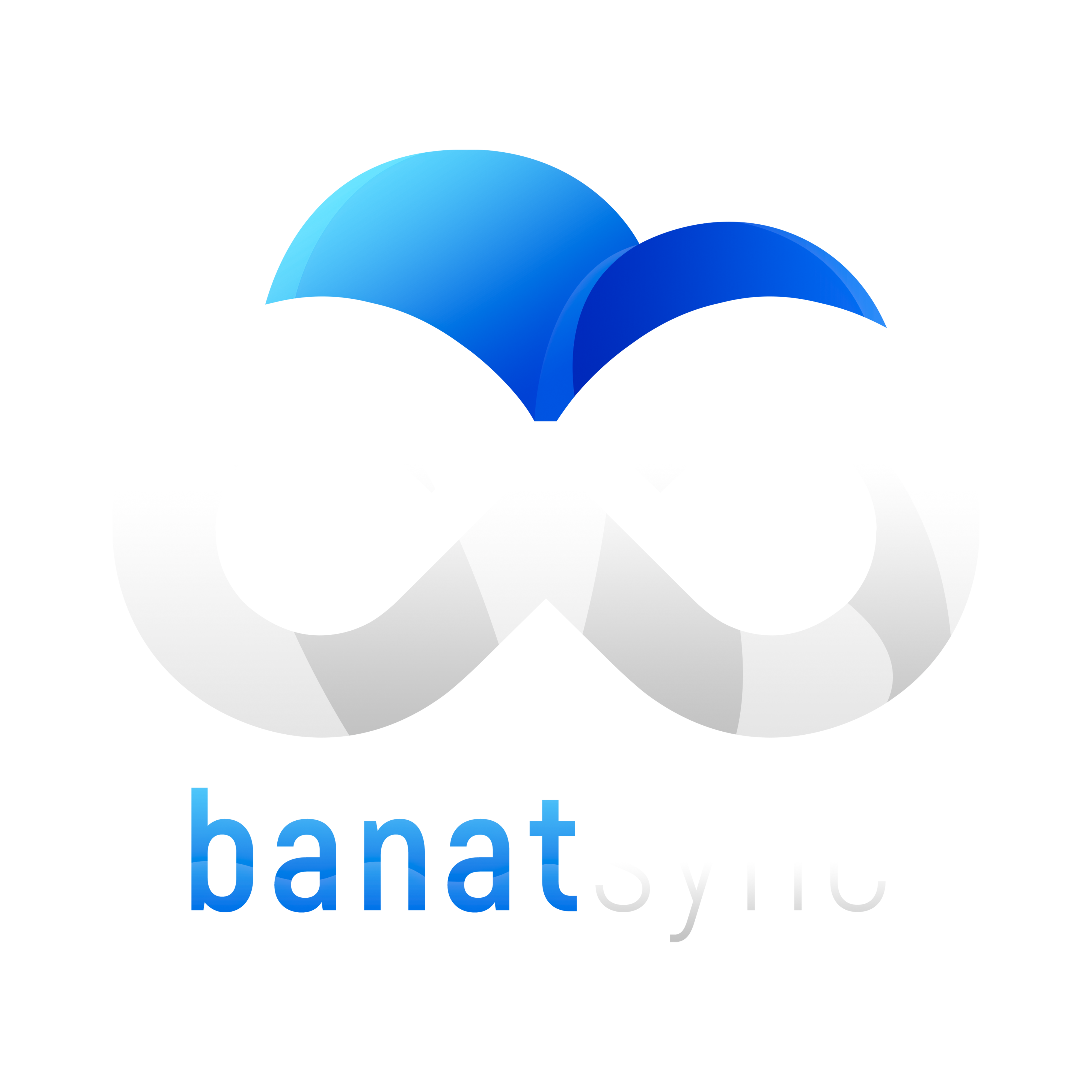 BanatSync Logo